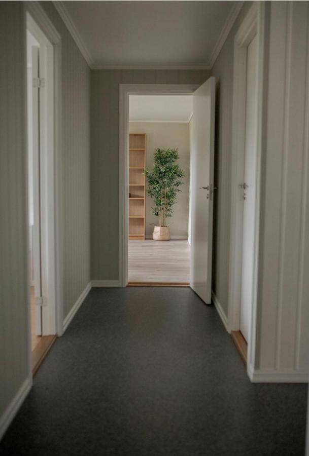 Apartmán Jasund Sunview Lyngdal Exteriér fotografie